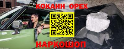 прущие грибы Сланцы