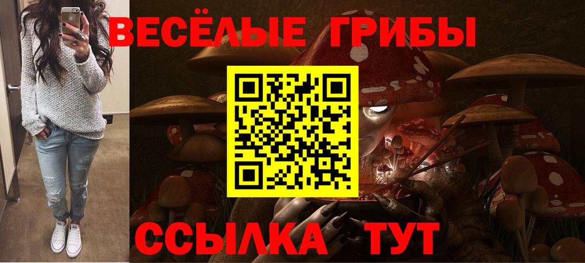 Галлюциногенные грибы Cubensis  Вход с VPN  Туапсе 